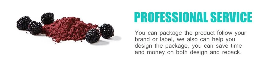 Bulk freeze dried fruit powder for smoothies.jpg Bulk freeze dried fruit powder for smoothies.jpg