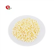 Đông lạnh xúc xắc táo khô