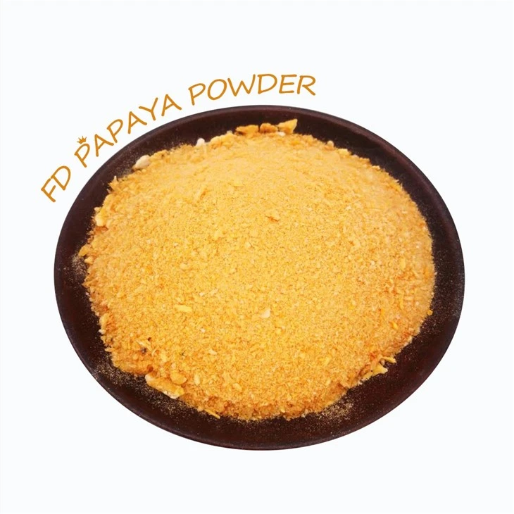 Freeze Dried Fruit Powder